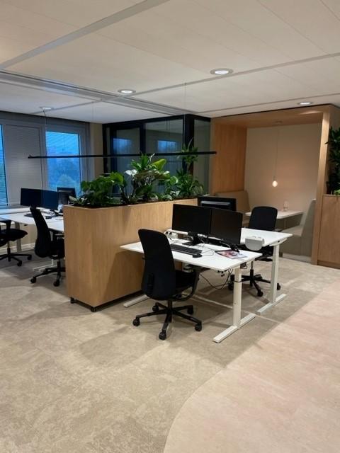 Werkplekken met groene afscheiding van hout en planten in de kantoortuin